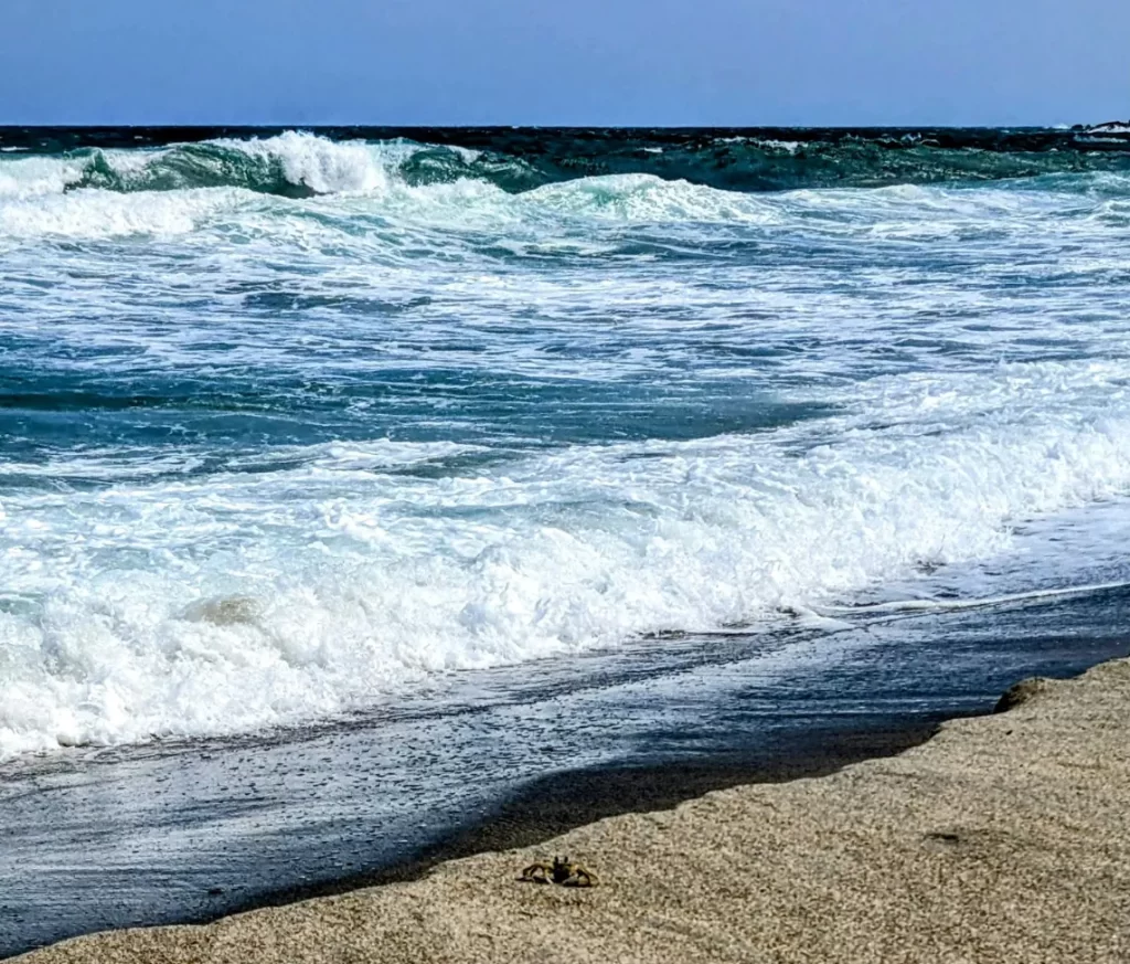 tayrona national park two travel turtles