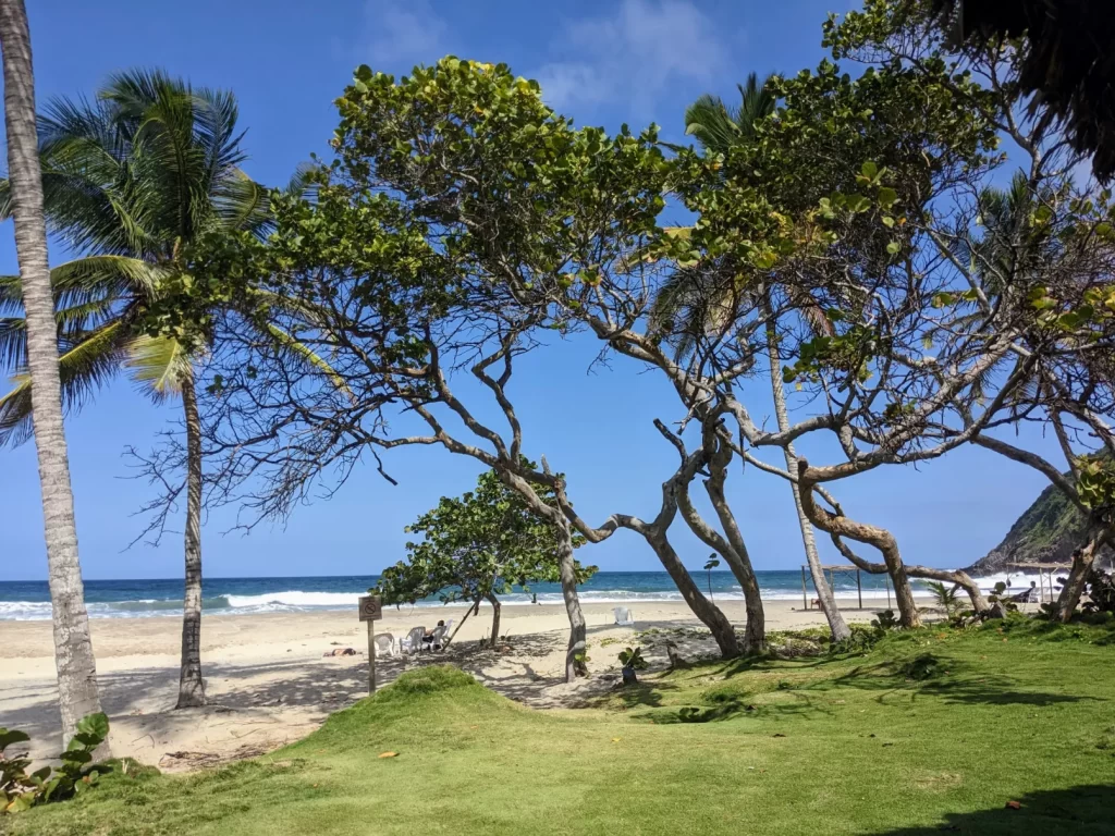 tayrona national park two travel turtles