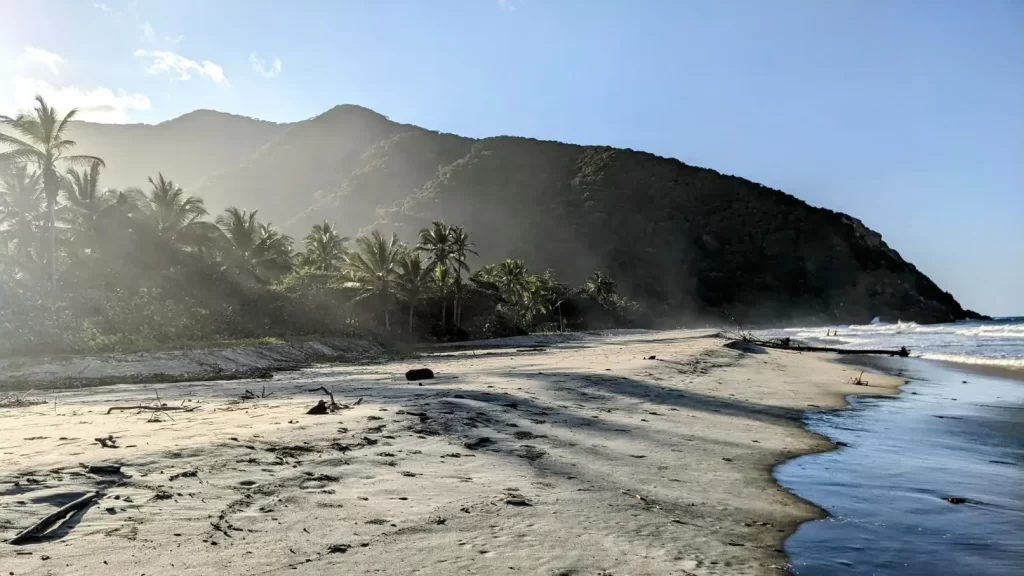 tayrona national park two travel turtles