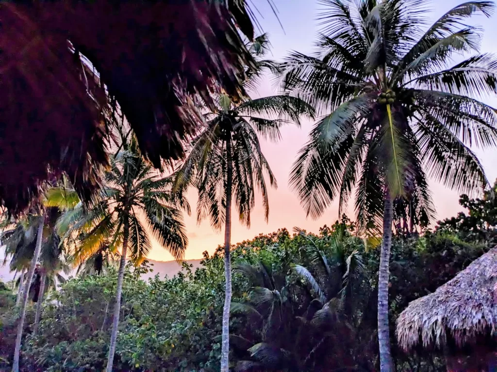 tayrona national park two travel turtles
