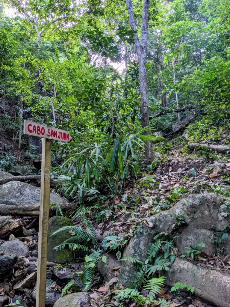 tayrona national park two travel turtles