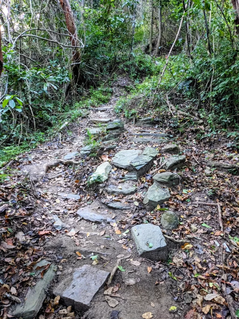 tayrona national park two travel turtles