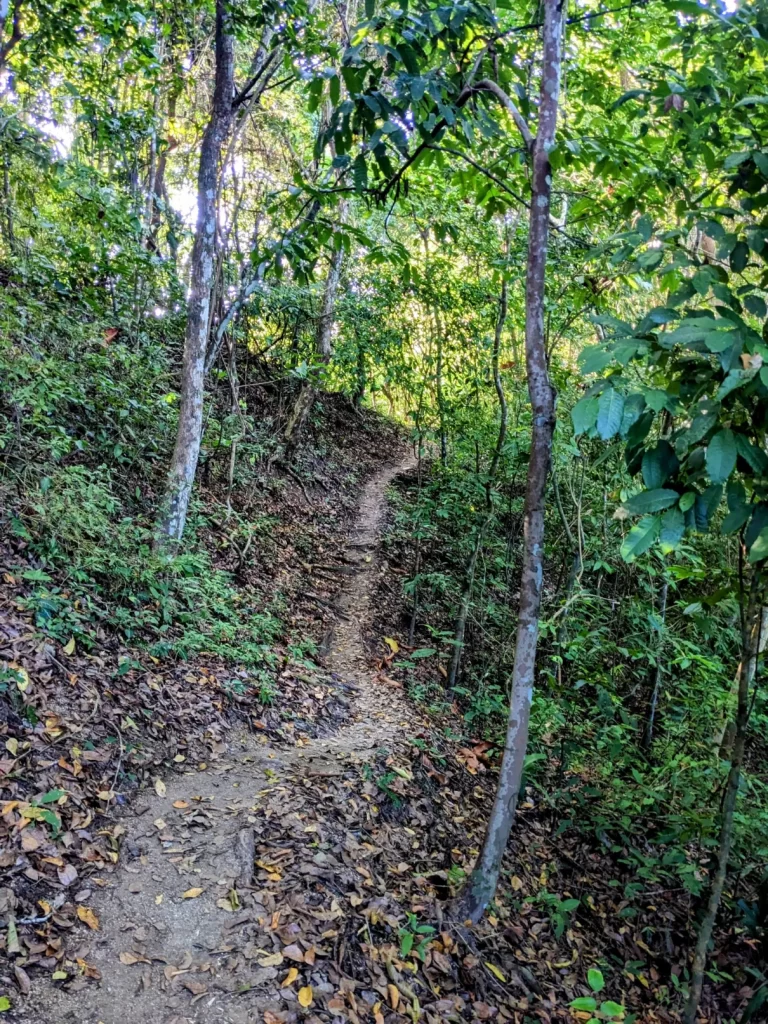 tayrona national park two travel turtles