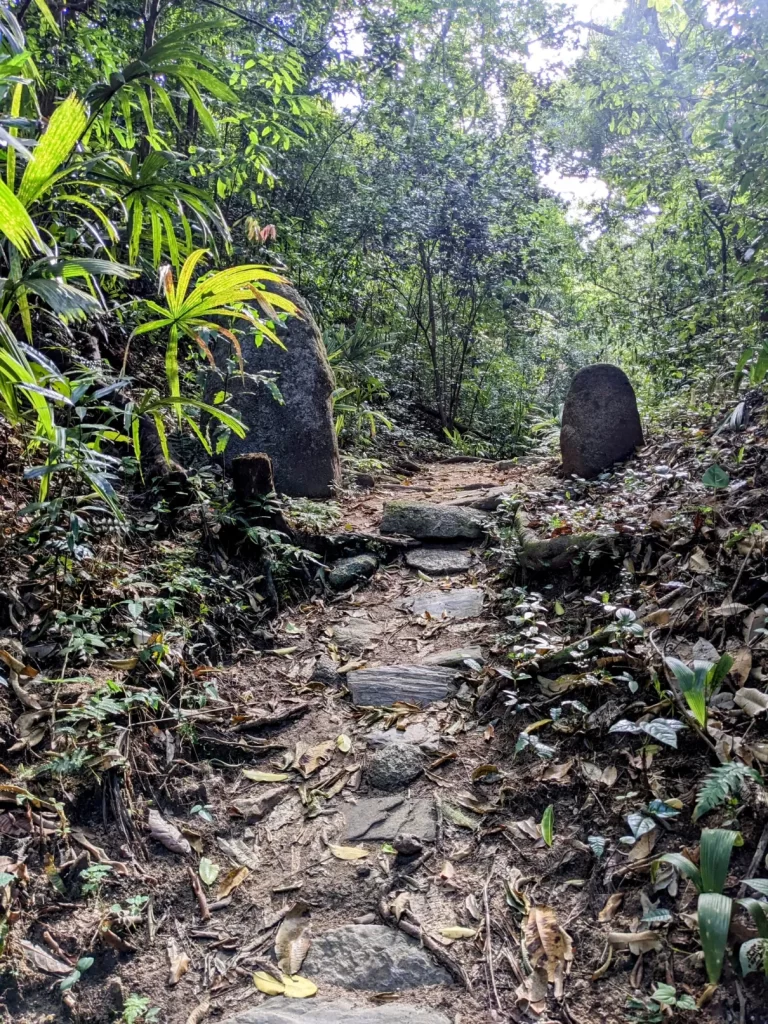 tayrona national park two travel turtles