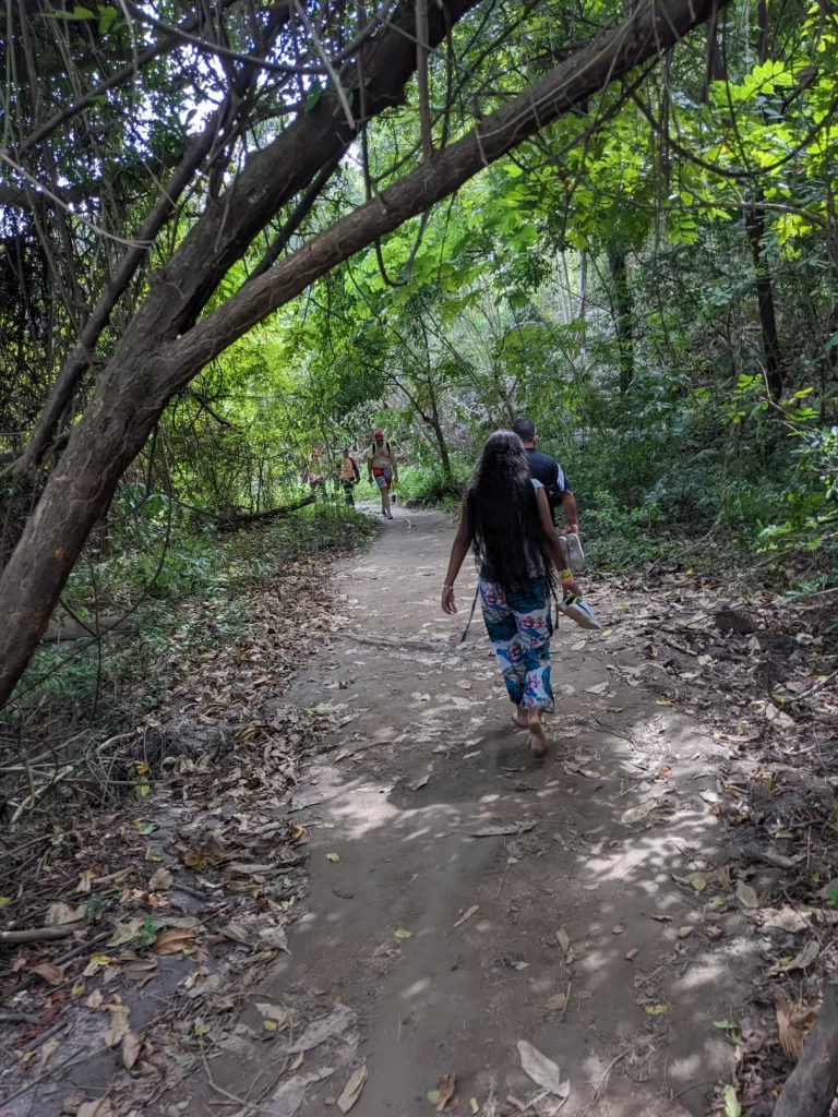 tayrona national park two travel turtles