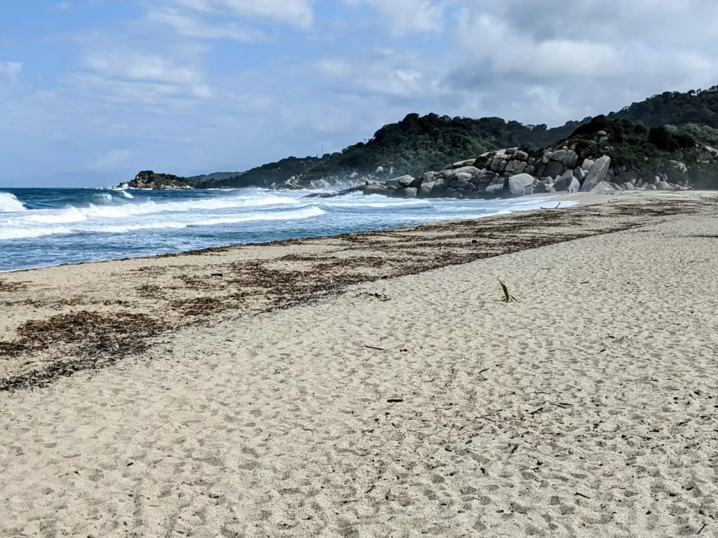 tayrona national park two travel turtles