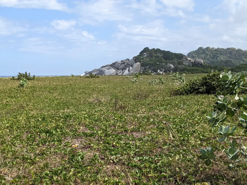 tayrona national park two travel turtles