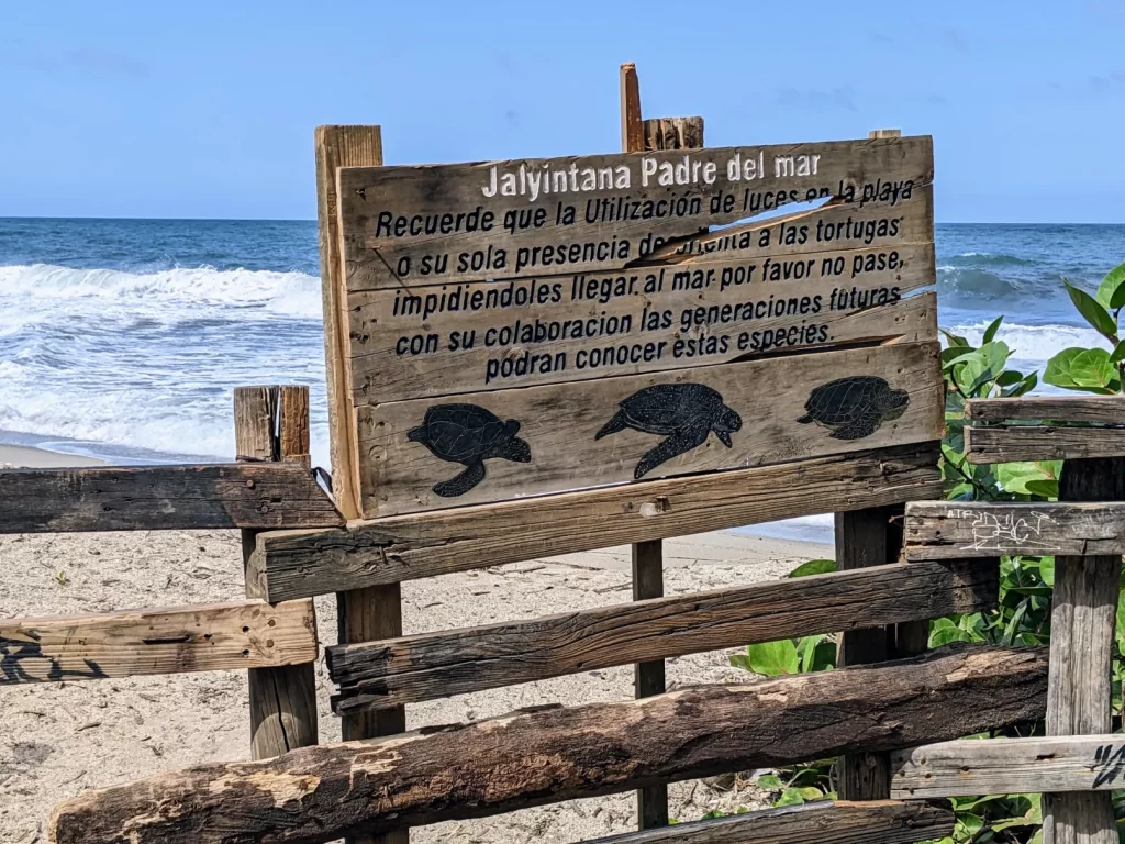 tayrona national park two travel turtles