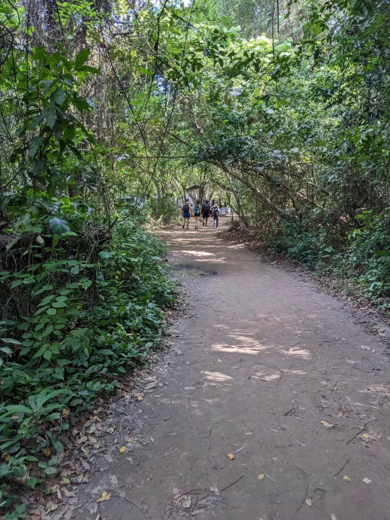 tayrona national park two travel turtles