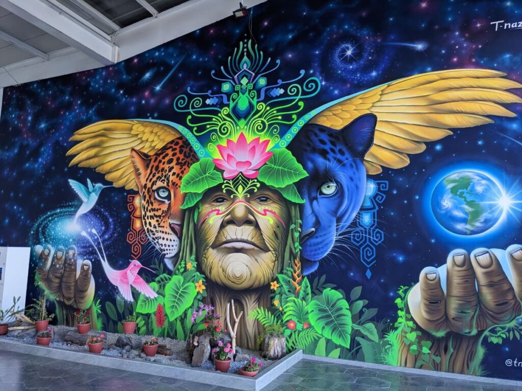 week in quito ecuador two travel turtles