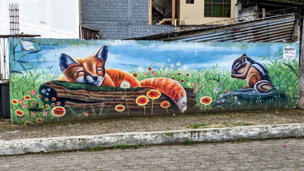 streets os Baños de Agua Santa two travel turtles