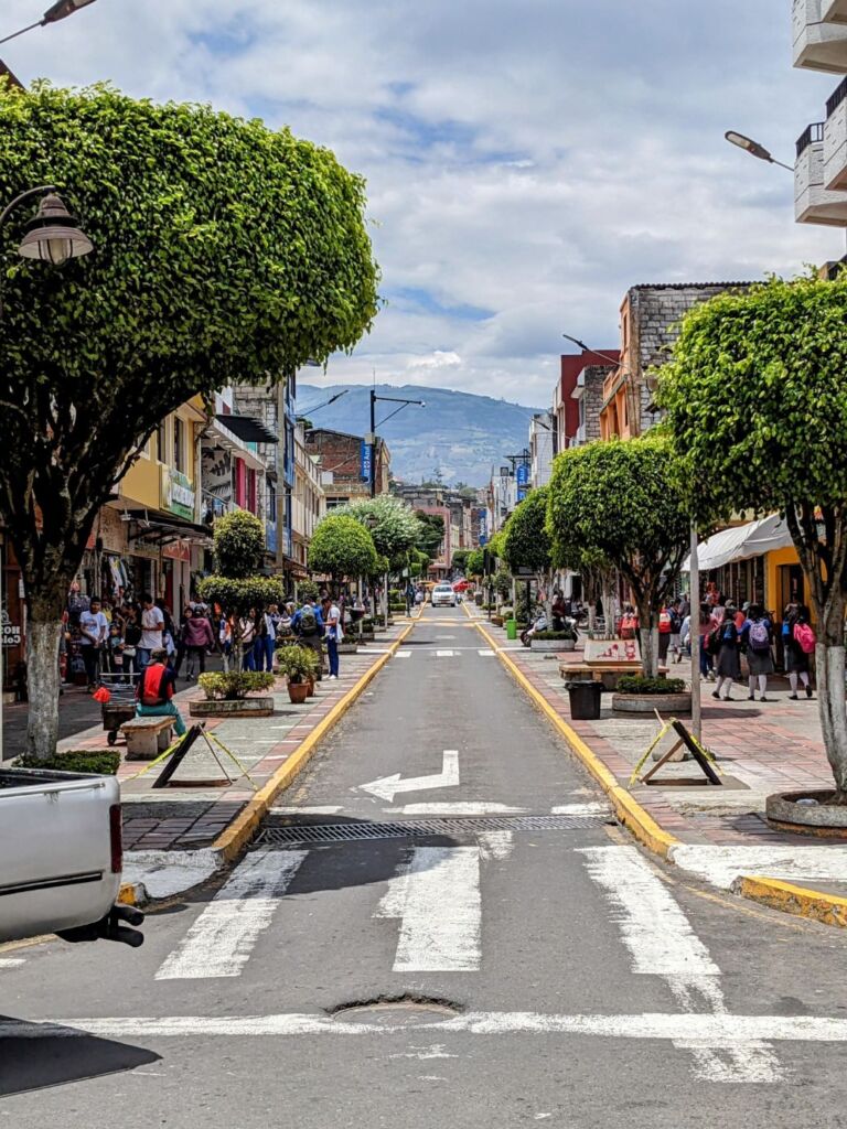 Streets of Baños de Agua Santa two travel turtles