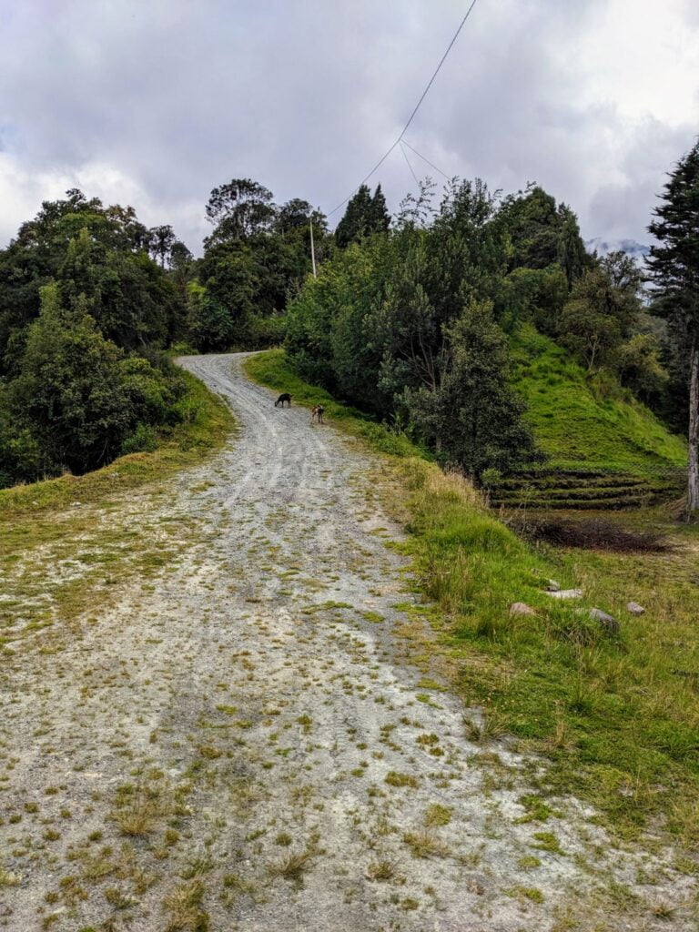 mirador hike in baños ecuador two travel turtles