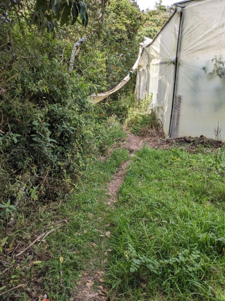 mirador hike in baños ecuador two travel turtles