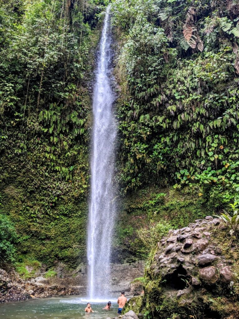 visit to the Amazon rainforest two travel turtles