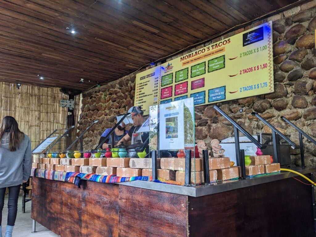 recovery day two travel turtles