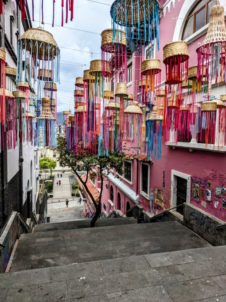 recovery day two travel turtles