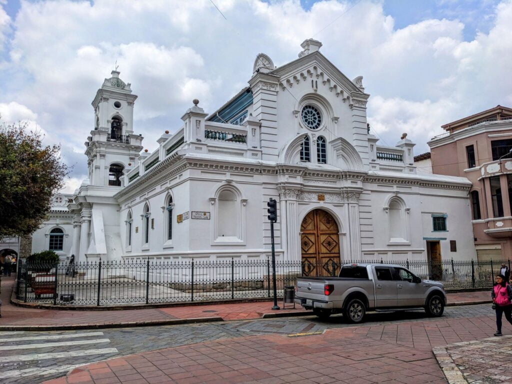 recovery day two travel turtles