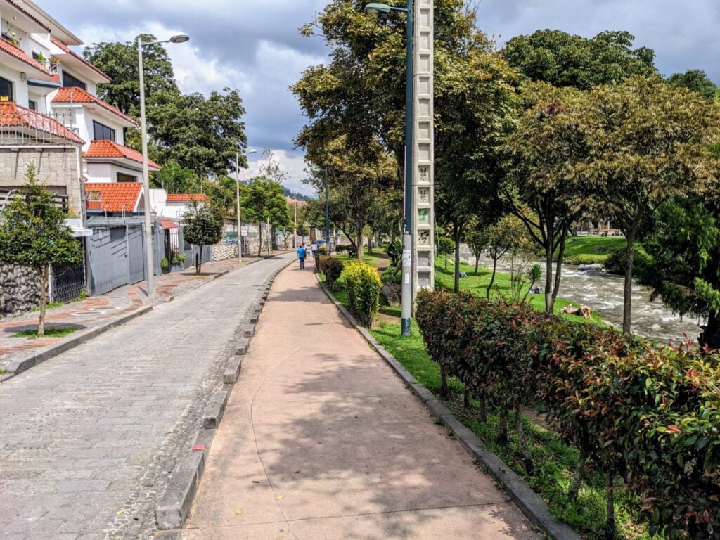 recovery day two travel turtles