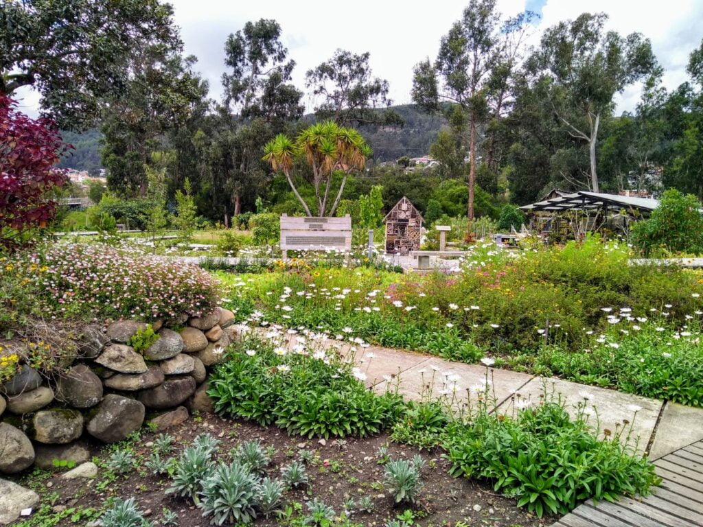 life in cuenca ecuador two travel turtles