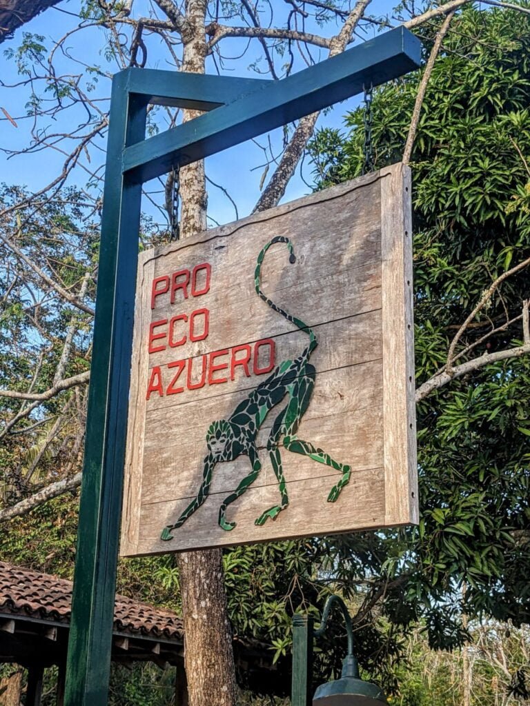 airbnb in pedasí two travel turtles