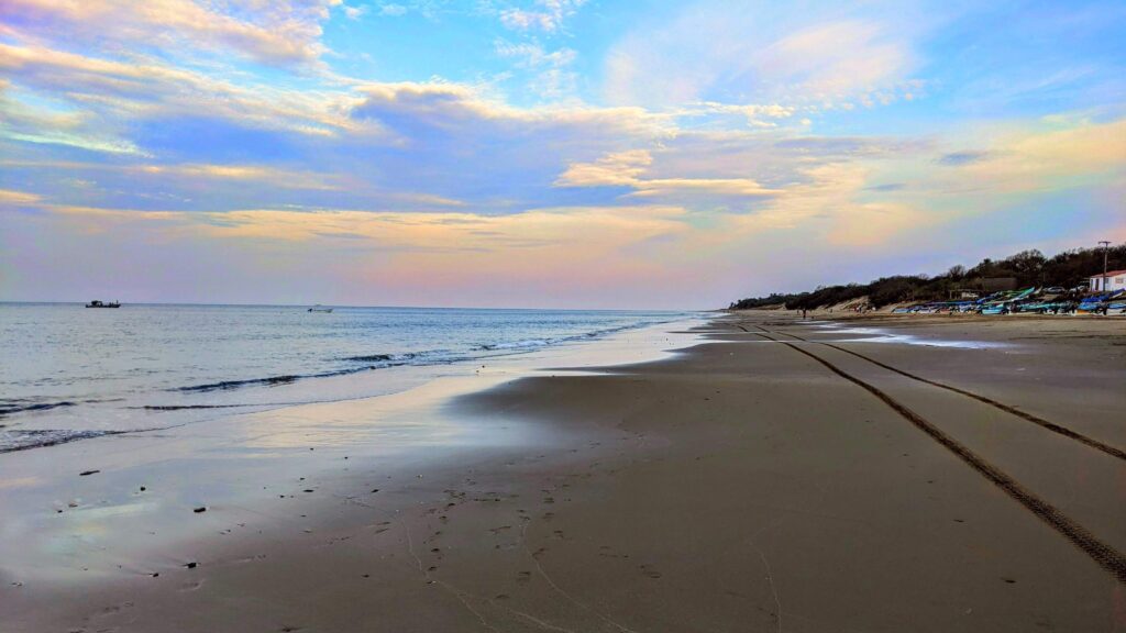 pedasí panama two travel turtles