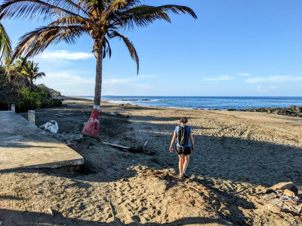 pedasí panama two travel turtles