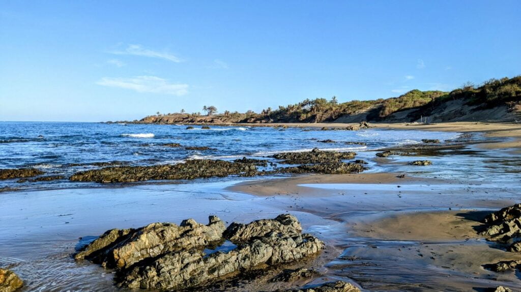 pedasí panama two travel turtles