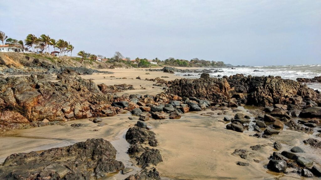 pedasí panama two travel turtles