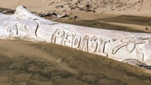 Settling Into Beach Life in Pedasí Panama pedasí panama two travel turtles