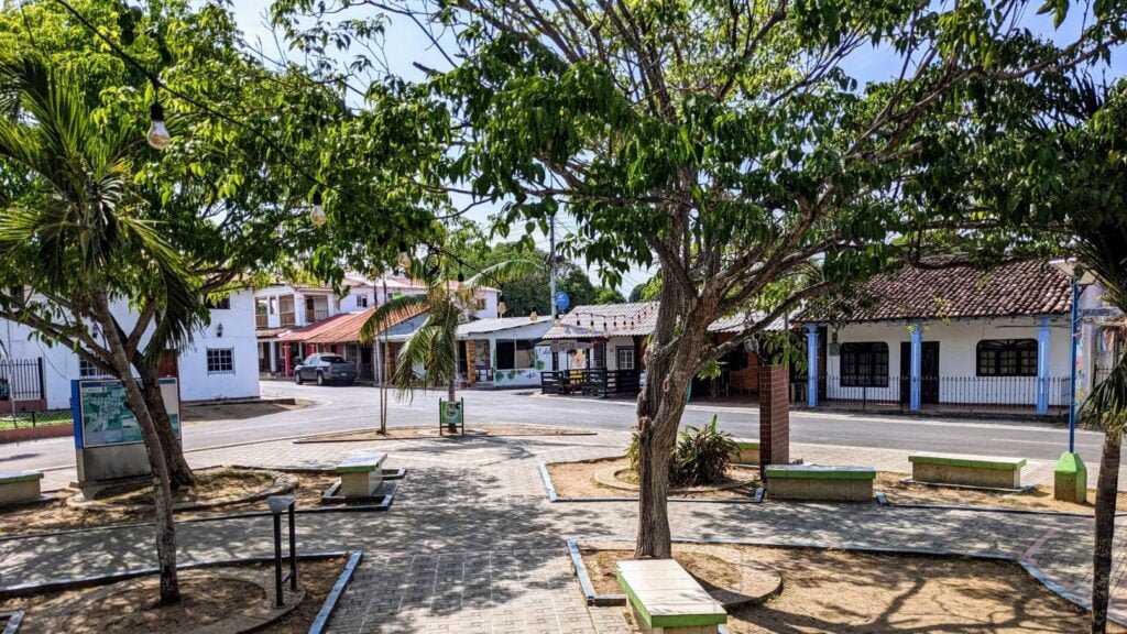 pedasí panama two travel turtles