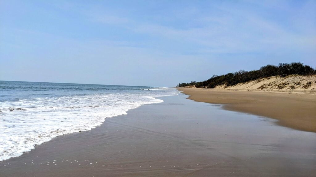 pedasí panama two travel turtles