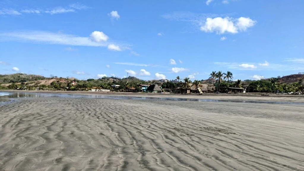 playa venao two travel turtles