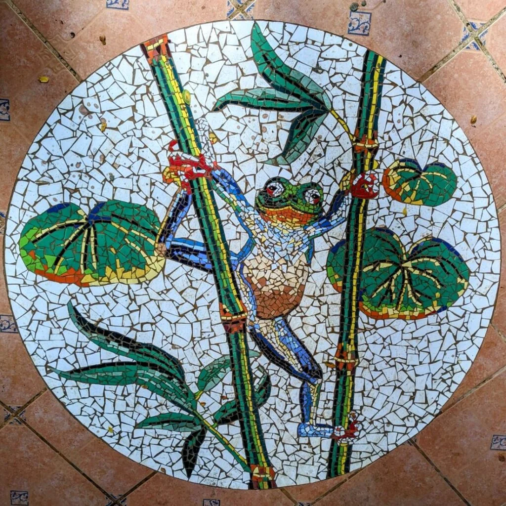 la playita resort two travel turtles