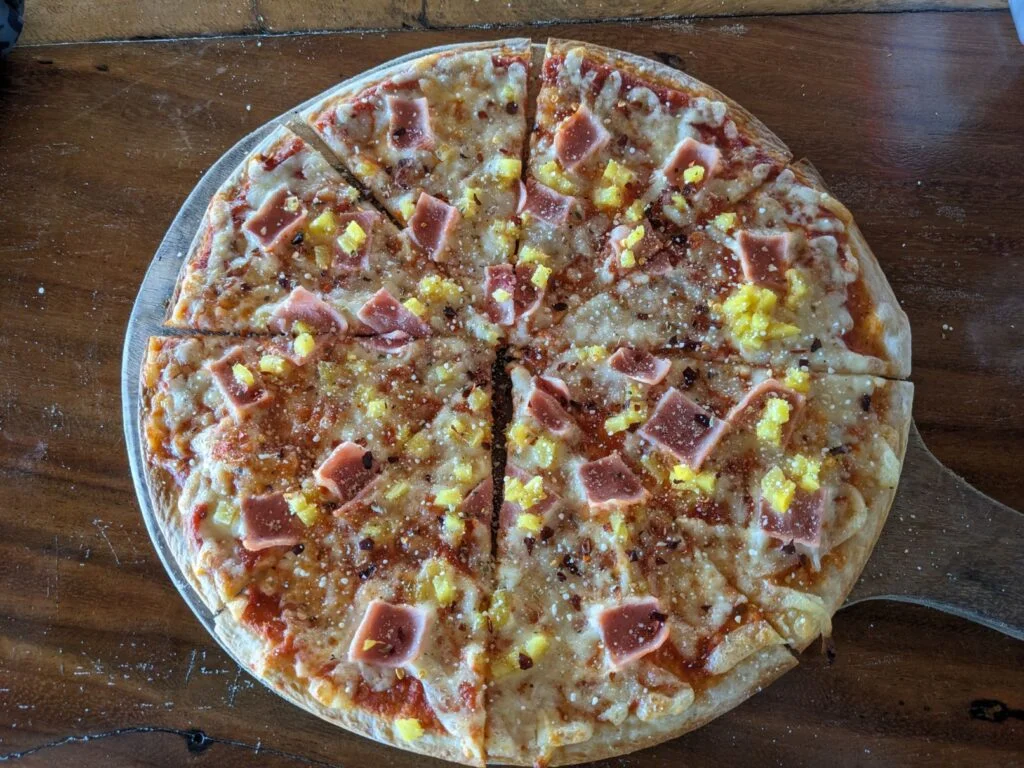 pizza gavilan two travel turtles
