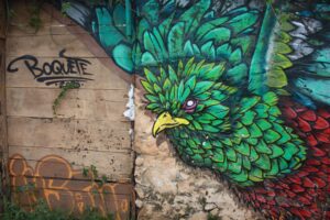 Moving Day - Our Airbnb in Boquete Panama quetzal-1680758_1920