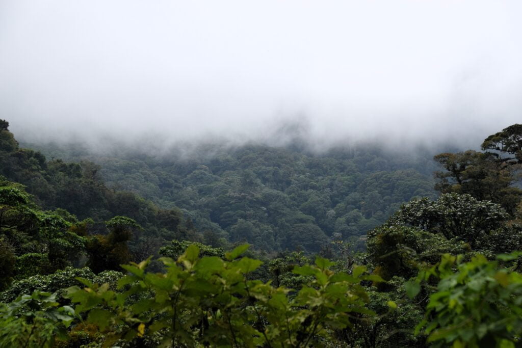 pipeline trail two travel turtles