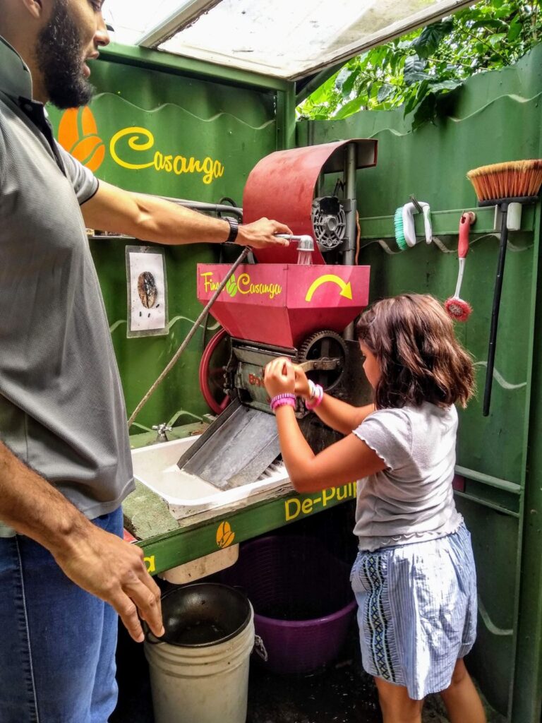 finca casanga coffee two travel turtles