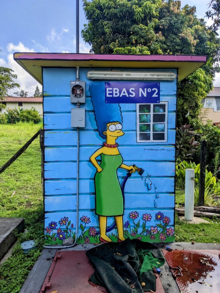 life in boquete panama two travel turtles