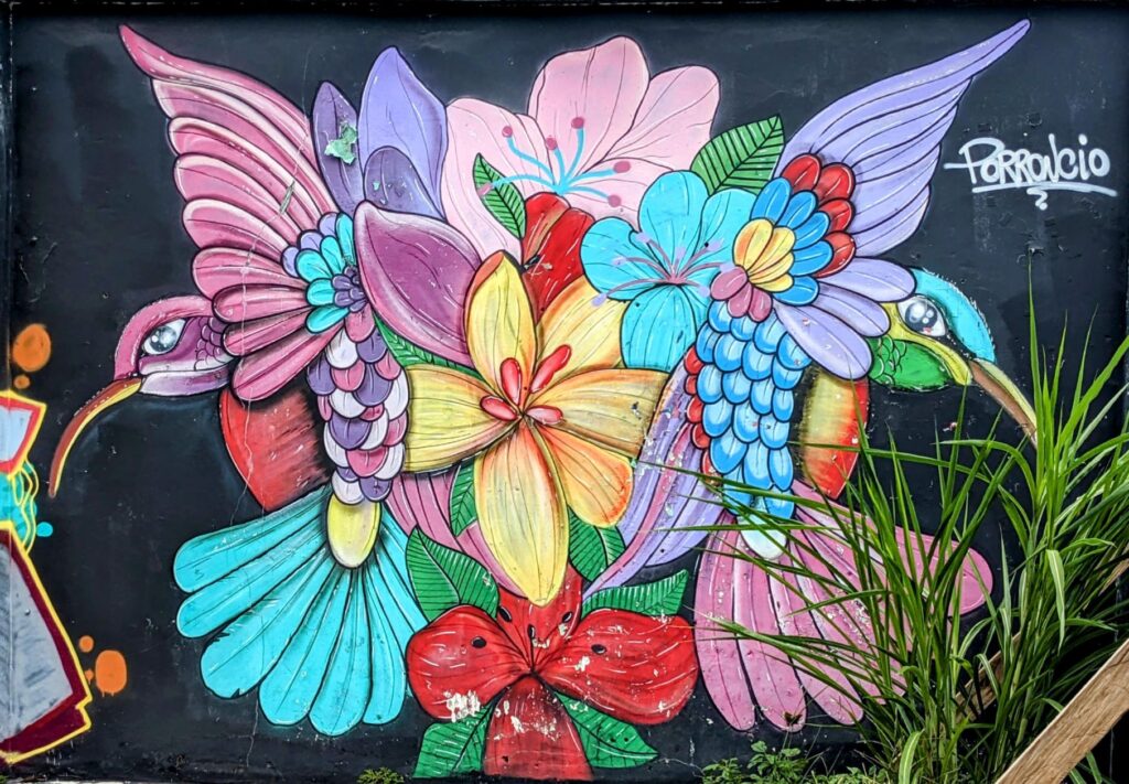 life in boquete panama two travel turtles