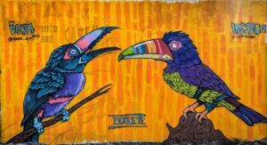 Living The Slow Travel Life in Boquete Panama life in boquete panama two travel turtles