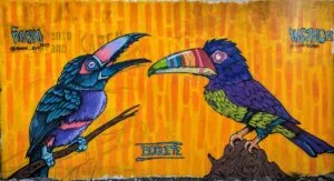 Living The Slow Travel Life in Boquete Panama life in boquete panama two travel turtles