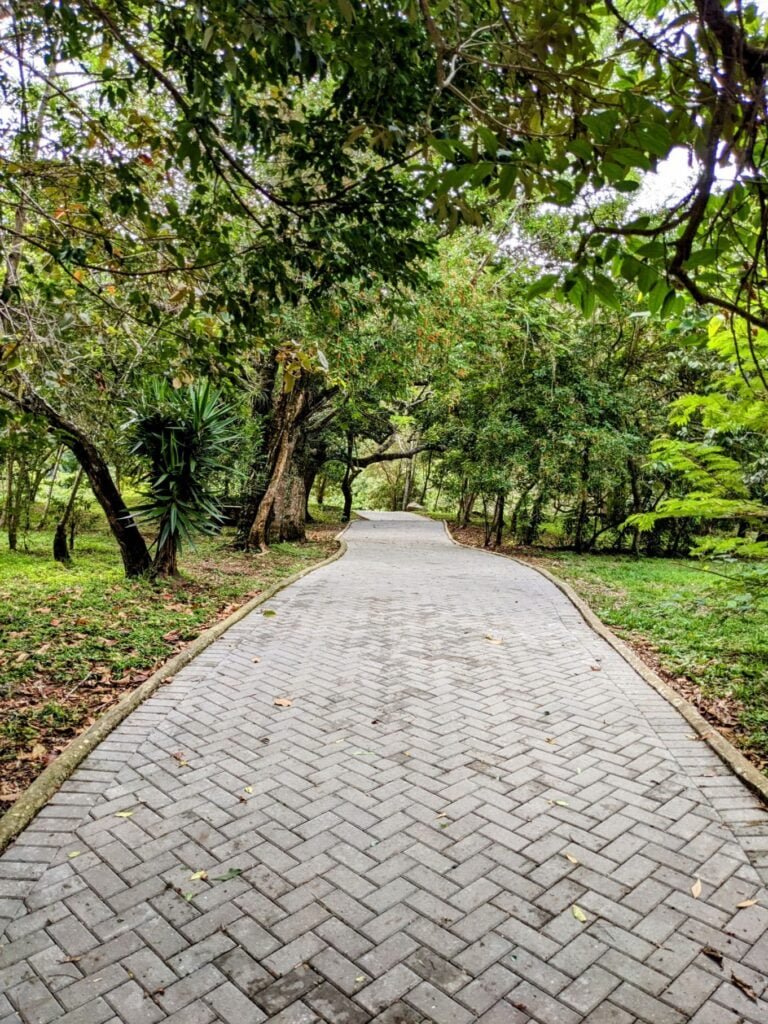 life in boquete panama two travel turtles