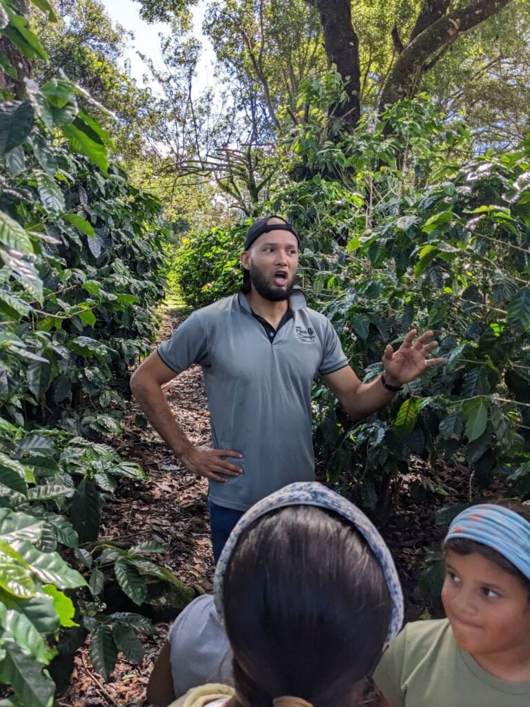 finca casanga coffee two travel turtles