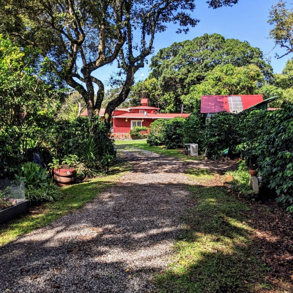 finca casanga coffee two travel turtles