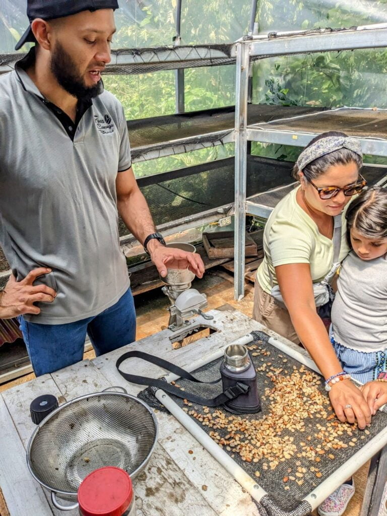 finca casanga coffee two travel turtles