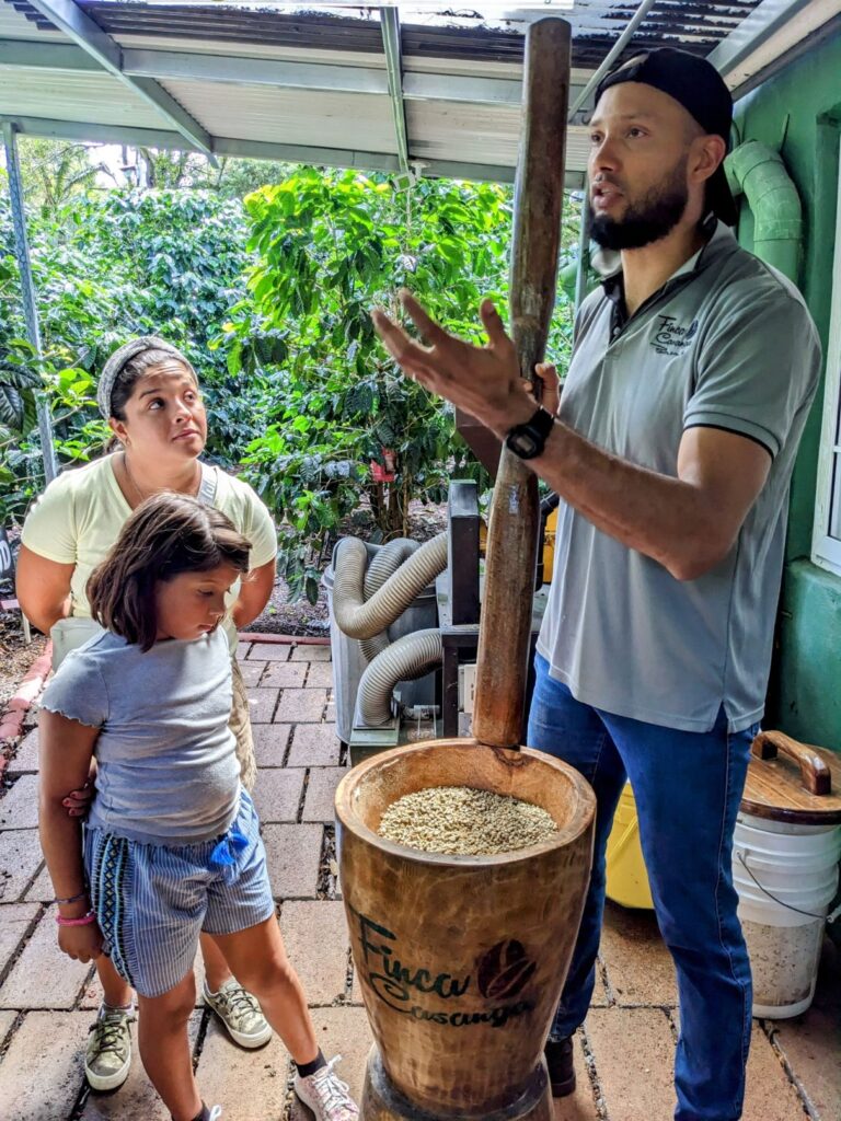 finca casanga coffee two travel turtles