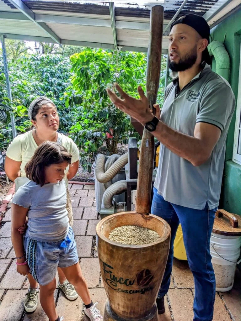 finca casanga coffee two travel turtles