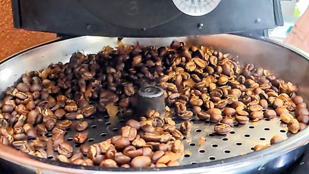 finca casanga coffee two travel turtles