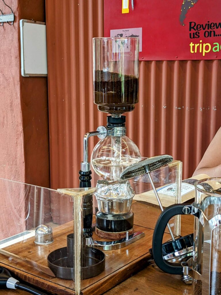 finca casanga coffee two travel turtles